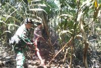 Polresta Pekanbaru Bersama Warga dan PT PHR Padamkan Kebakaran Lahan di Areal Gedung Pramuka Lembah Sari