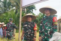 TNI Bentuk Satgas Kedaulatan Pangan, Kodim 0211/Tapanuli Tengah Siap Kawal Ketahanan Pangan Nasional