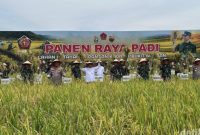 TNI Panen Raya di Deli Serdang: Ratusan Ton Padi Siap Dukung Swasembada Pangan dan Program Makan Bergizi Gratis