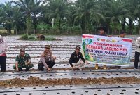 Penanaman Jagung Komposit di Desa Sungai Pinang Dukung Program Ketahanan Pangan