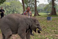 Komisi Informasi Riau Apresiasi Keterbukaan Informasi Polda Riau, Beri Akses Luas Pelayanan Publik