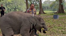 Komisi Informasi Riau Apresiasi Keterbukaan Informasi Polda Riau, Beri Akses Luas Pelayanan Publik