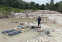 Lahan Karet Pemkab Kuansing Dijarah PETI, FPII Bakal Laporkan Kadisbunak ke Kejati dan Kapolda Riau