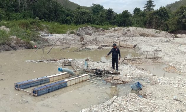 Lahan Karet Pemkab Kuansing Dijarah PETI, FPII Bakal Laporkan Kadisbunak ke Kejati dan Kapolda Riau