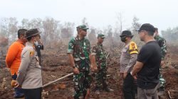 Danrem 031/Wira Bima Tinjau Langsung Pemadaman Karhutla di Dumai, Sinergitas TNI-Polri dan Pemda Diperkuat