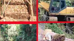 Mafia PETI di Desa Pulau Padang Singingi Kawasan HPT “Kucing-Kucigan” dengan Aparat