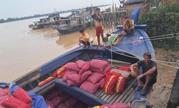 Aksi Deninteldam XIX/TT: Amankan Puluhan Ton Bawang Merah Ilegal dan Serahkan ke Karantina Tumbuhan Tembilahan