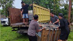 Bongkar Penyelundupan Biosolar: Polda Riau Putus ‘Urat Nadi’ Tambang Emas Ilegal di Kuansing