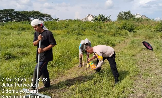 Polresta Pekanbaru Dukung Ketahanan Pangan Nasional, Bhabinkamtibmas Polsek Binawidya Monitoring Lahan Jagung Warga