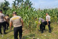 *Polri Cinta Petani, Polresta Pekanbaru Aktif Dukung Ketahanan Pangan Nasional di Tuah Madani