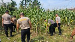 *Polri Cinta Petani, Polresta Pekanbaru Aktif Dukung Ketahanan Pangan Nasional di Tuah Madani