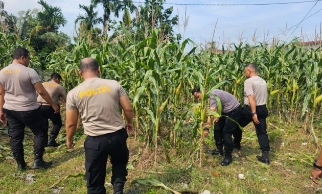 *Polri Cinta Petani, Polresta Pekanbaru Aktif Dukung Ketahanan Pangan Nasional di Tuah Madani