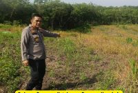 Dukung Program Ketahanan Pangan, Kapolsek Pekanbaru Kota Bersama Kelompok Tani Laksanakan Penanaman Jagung Hibrida
