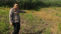 Dukung Program Ketahanan Pangan, Kapolsek Pekanbaru Kota Bersama Kelompok Tani Laksanakan Penanaman Jagung Hibrida