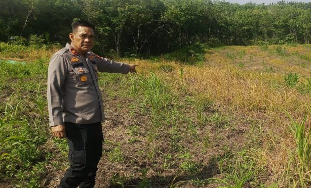 Dukung Program Ketahanan Pangan, Kapolsek Pekanbaru Kota Bersama Kelompok Tani Laksanakan Penanaman Jagung Hibrida