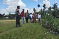 Polisi Dukung Ketahanan Pangan Nasional, IPTU Peri Padli Cek Lahan 6 Hektar