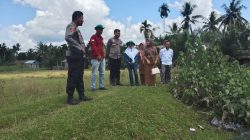 Polisi Dukung Ketahanan Pangan Nasional, IPTU Peri Padli Cek Lahan 6 Hektar