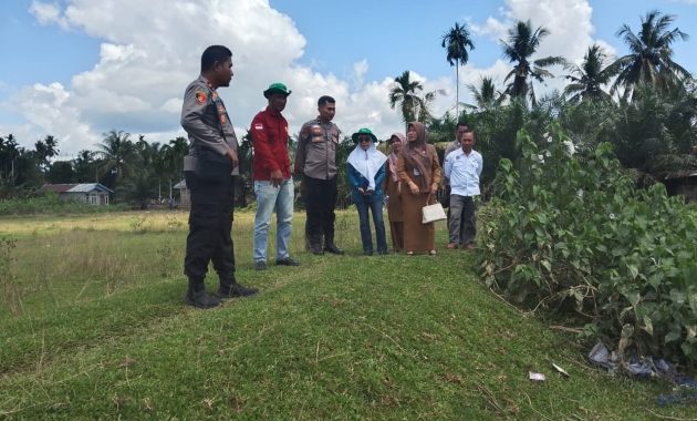 Polisi Dukung Ketahanan Pangan Nasional, IPTU Peri Padli Cek Lahan 6 Hektar