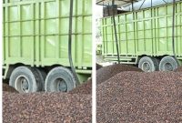 Bisnis “Gelap” Kernel Sawit di Kandis KM 85 Sengaja Dibiarkan? Polsek Kandis Bungkam!