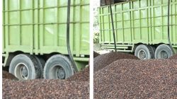 Bisnis “Gelap” Kernel Sawit di Kandis KM 85 Sengaja Dibiarkan? Polsek Kandis Bungkam!