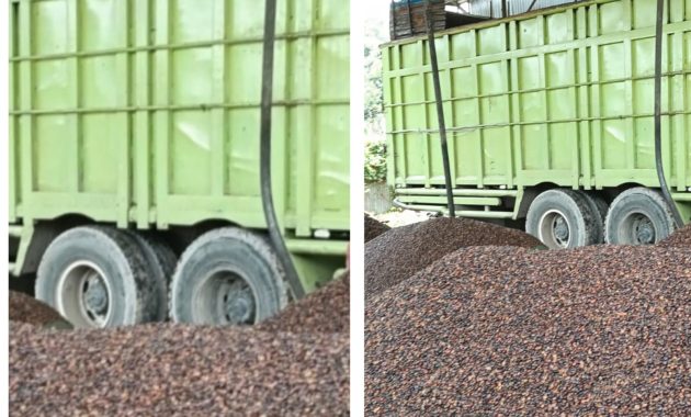 Bisnis “Gelap” Kernel Sawit di Kandis KM 85 Sengaja Dibiarkan? Polsek Kandis Bungkam!