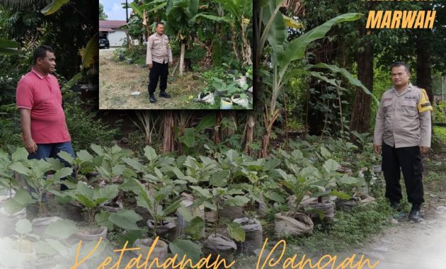 *Polri Cinta Petani, Polresta Pekanbaru Perkuat Ketahanan Pangan Melalui Pendampingan Kebun Warga di Cinta Raja