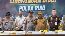 Bupati Rohil Apresiasi Polda Riau Ungkap Perusakan Mangrove, Imbau Masyarakat Tak Lagi Merusak Hutan
