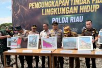 BKSDA Apresias Polda Riau Ungkap Perusakan Mangrove di Rohil