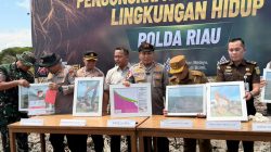 BKSDA Apresias Polda Riau Ungkap Perusakan Mangrove di Rohil
