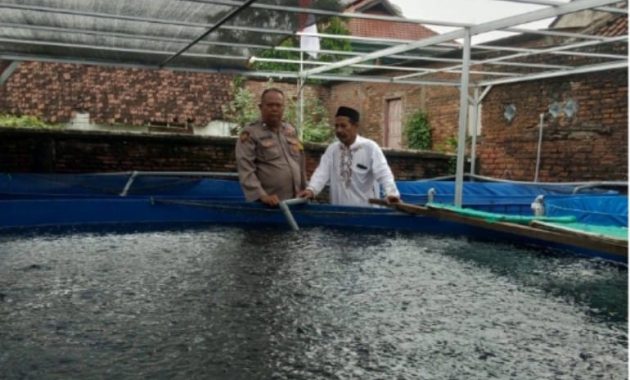 Budidaya Lele Warga Tambakan Berkembang Baik, Bhabinkamtibmas Dukung Program Pekarangan Bergizi