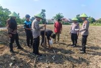 Dukung Ketahanan Pangan Nasional, Polsek Limapuluh Tanam Jagung Pipil di Lahan Produktif Bersama Kelompok Tani