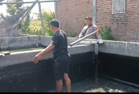 Pantau Budidaya Lele di Genengwaru, Bhabinkamtibmas Pastikan Pertumbuhan Ikan Berjalan Baik