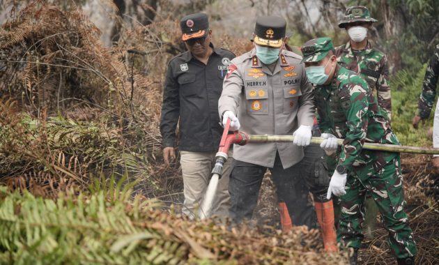 Diterjang Karhutla, Kapolda Riau dan Pangdam Turun Gunung Kepung Titik Api di Kerumutan