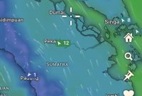 Polda Riau Intensifkan Penanganan Karhutla, 313 Hotspot Terdeteksi di Wilayah Riau