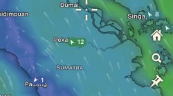 Polda Riau Intensifkan Penanganan Karhutla, 313 Hotspot Terdeteksi di Wilayah Riau