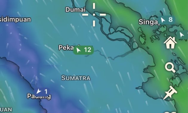 Polda Riau Intensifkan Penanganan Karhutla, 313 Hotspot Terdeteksi di Wilayah Riau