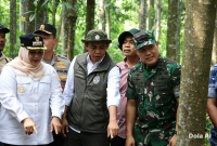Sinergi Lintas Sektor di Bengkalis: Menhut, Pangdam XIX, dan Kapolda Riau Turun Ke Lapangan Perkuat Benteng Anti-Karhutla