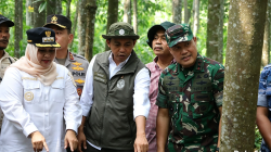 Sinergi Lintas Sektor di Bengkalis: Menhut, Pangdam XIX, dan Kapolda Riau Turun Ke Lapangan Perkuat Benteng Anti-Karhutla