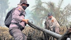 Bertambah, Polda Riau Kini Tangani 45 Kasus Karhutla, 49 Orang Jadi Tersangka