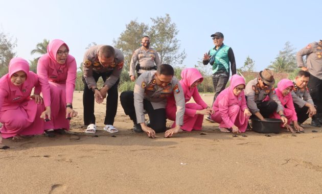 Ecology Policing : Polres Trenggalek Tanam Mangrove dan Lepas Liarkan Ratusan Tukik