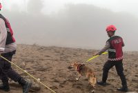 Unit Polsatwa Ditsamapta Polda Sumbar Turunkan K9 Spesifikasi SAR Telusuri Jalur Air Bah