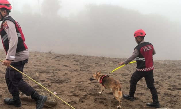 Unit Polsatwa Ditsamapta Polda Sumbar Turunkan K9 Spesifikasi SAR Telusuri Jalur Air Bah