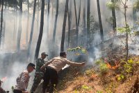 Polres Ponorogo dan Tim Gabungan Tembus Medan Curam Lereng Gunung Limas Padamkan Api Karhutla