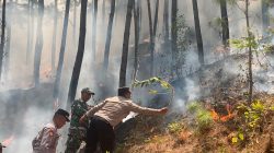 Polres Ponorogo dan Tim Gabungan Tembus Medan Curam Lereng Gunung Limas Padamkan Api Karhutla