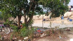 Tambang Emas Ilegal “Stingkai” Merajalela di Muara Lembu, APH Tutup Mata?