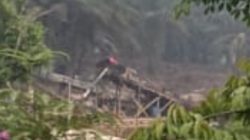 Sawit di Setiang Hancur Lebur, Warga Tuntut APH Seret Pemodal PETI Berinisial ANN